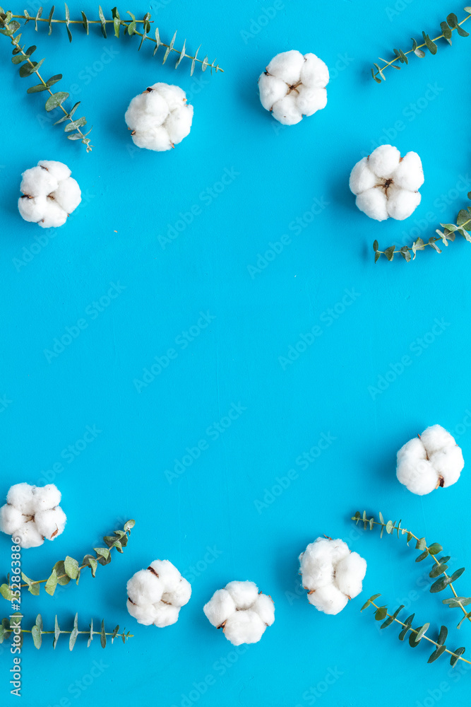 Flowers frame with fresh eucalyptus branches and cotton on blue background top view copy space Flowers frame with fresh eucalyptus branches and cotton on blue background top view copy space