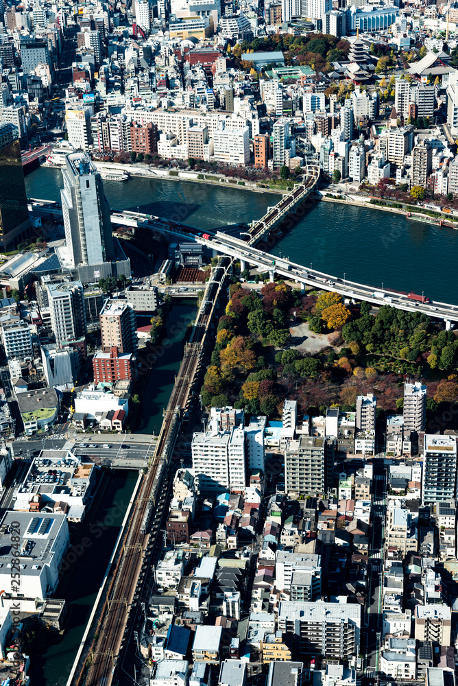 Fototapeta premium Tokyo high dense houses and buildings