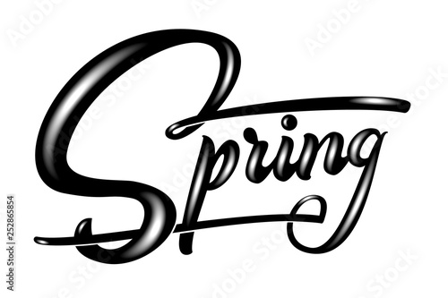 Hand drawn lettering Spring with shadow and highlights. Elegant modern handwritten calligraphy. Vector Ink illustration. Typography poster on white background. For cards, invitations, prints etc