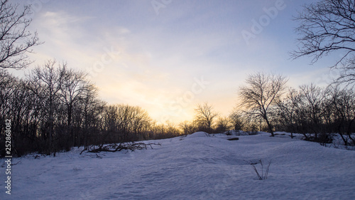 sunset in the snowy forest