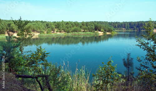 Blue lake in a pine forest.