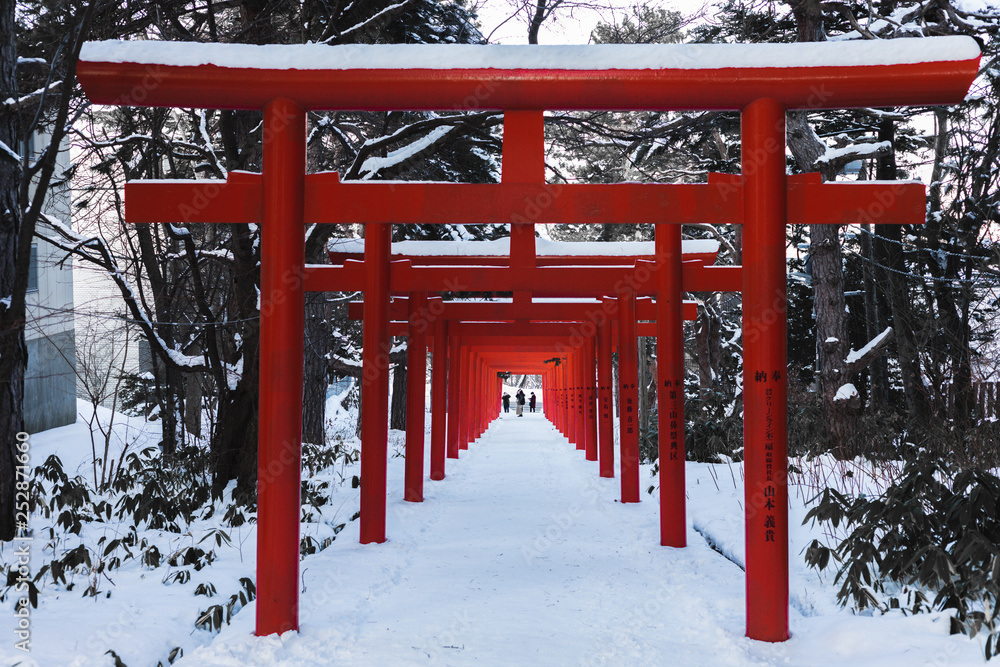 Tourists admiring the structure of Fushimi Inari Taisha Shrine in Sapporo Japan. This shot was taken in winter. Red Torii gates covered with snow. - obrazy, fototapety, plakaty 