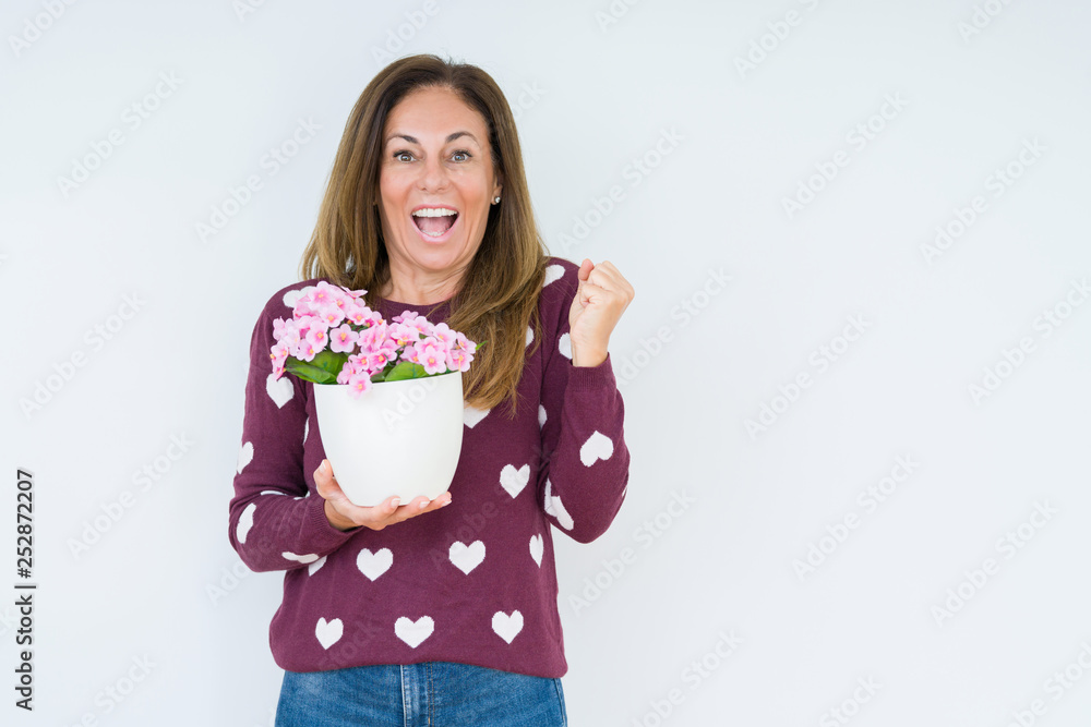 Middle age woman holding flowers pot plant over isolated background screaming proud and celebrating victory and success very excited, cheering emotion Middle age woman holding flowers pot plant over isolated background screaming proud and celebrating victory and success very excited, cheering emotion