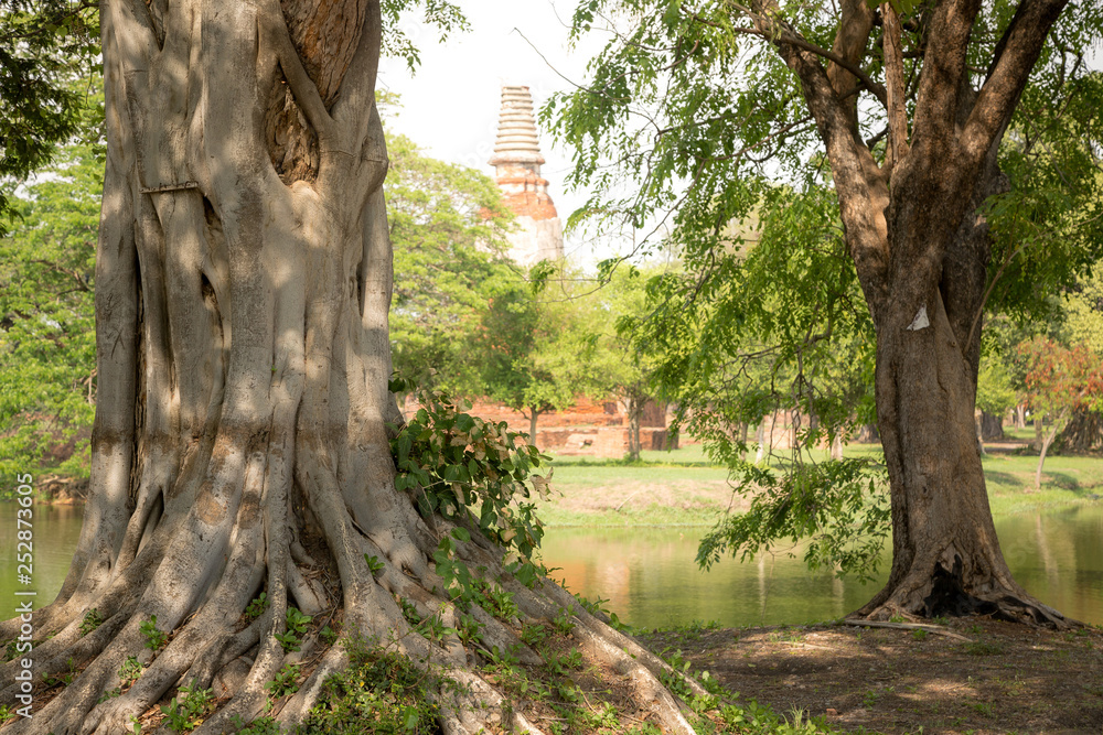Old Beautiful Thai Temple wat Mahathat, Ayutthaya Historical Park, Ayutthaya, Thailand Old Beautiful Thai Temple wat Mahathat, Ayutthaya Historical Park, Ayutthaya, Thailand