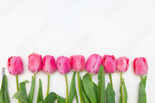Fototapeta Naklejka Na Ścianę i Meble -  pink tulips  