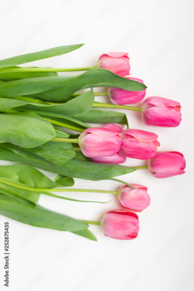 bouquet of tulips on white background bouquet of tulips on white background