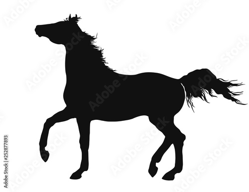 Vector silhouette of a freely trotting horse.