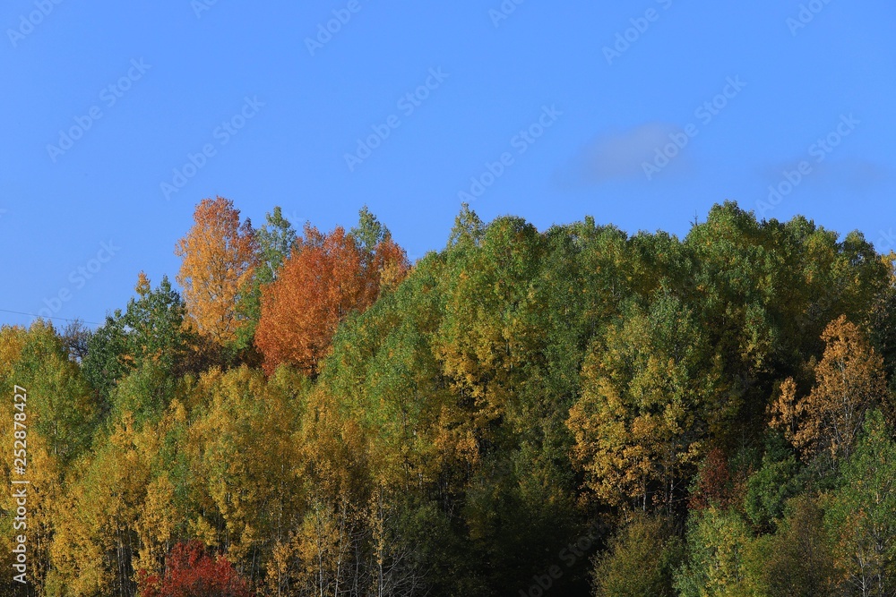 very beautiful autumn photos.savsat/artvin/turkey