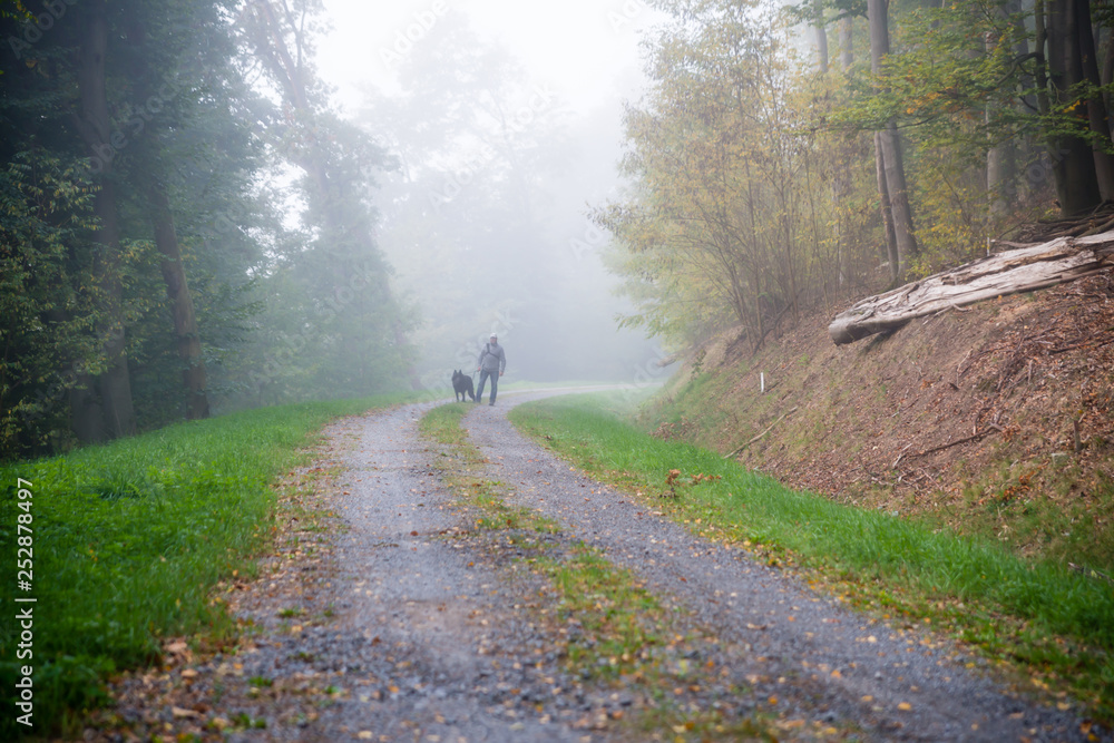 Mann spaziert mit Hund im Wald