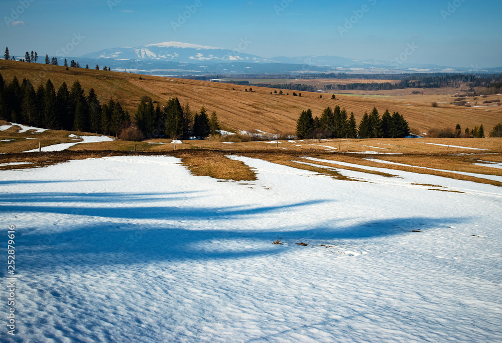 season spring snowy landscape with a meadow