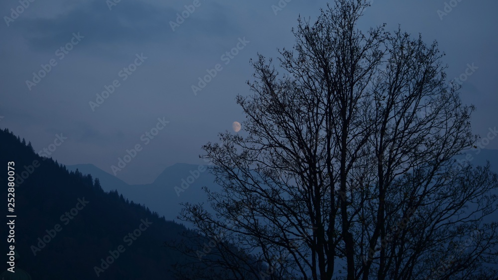 Moon behind a tree in the Alps