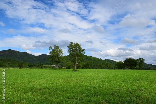 Green field near the hill 