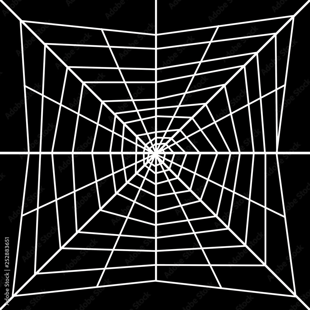 Obraz premium Spider web