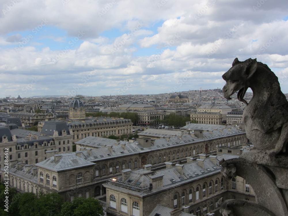 Obraz premium gargoyle over paris