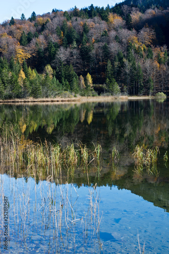 lake laudachsee, gmunden, salzkammergut, upper austria photo