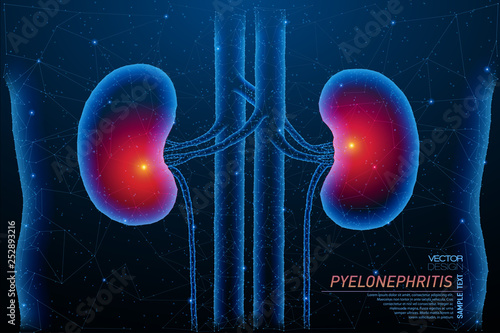 Abstract polygonal light of lungs inflammation structure.