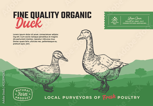 Fine Quality Organic Poultry. Abstract Vector Meat Packaging Design or Label. Modern Typography and Hand Drawn Duck with Goose Silhouettes. Rural Pasture Landscape Background Layout with Banner