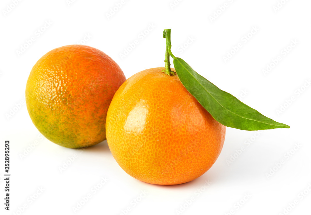 Tangerines on white Tangerines on white