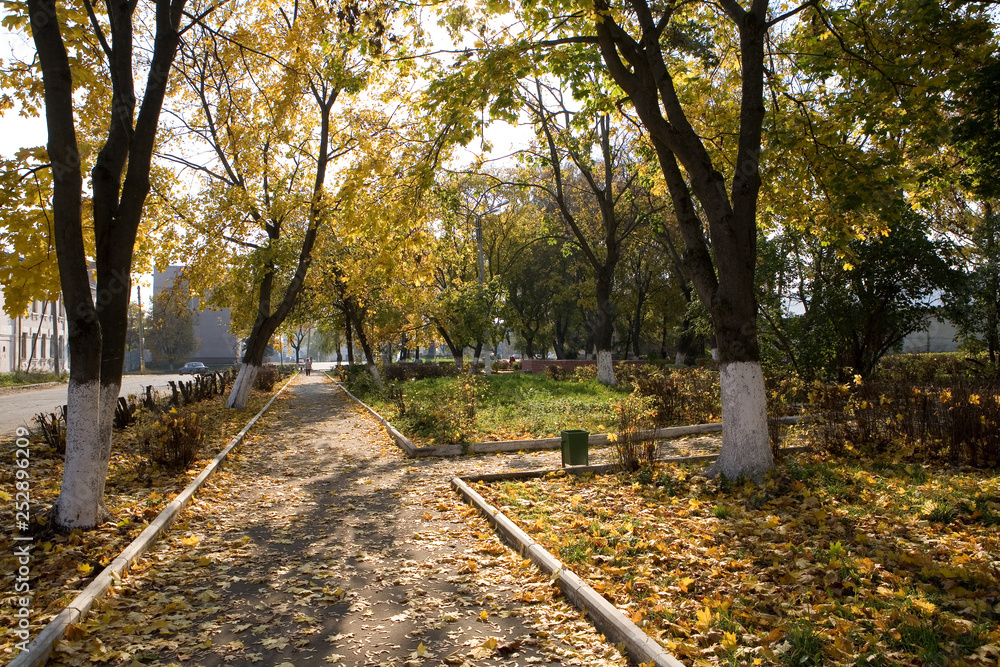 Abandoned park of the city of Alexandrov. Russia. Abandoned park of the city of Alexandrov. Russia.