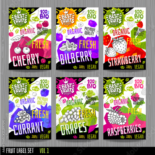 Food labels stickers set colorful sketch style fruits, spices vegetables package design. Cherry, bilberry, strawberry, currant, grapes, raspberries. Organic, fresh, bio, eco.