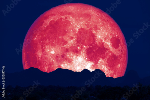 full pink fish moon back on cloud and mountain on night sky