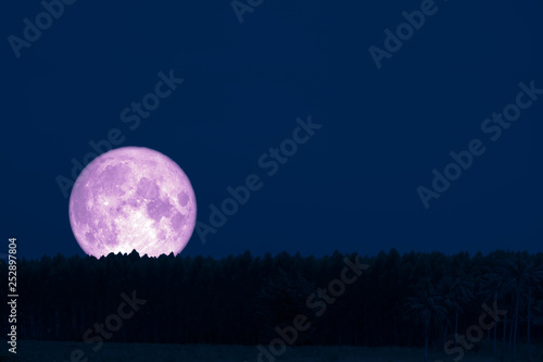super snow moon back silhouette top pine on night sky