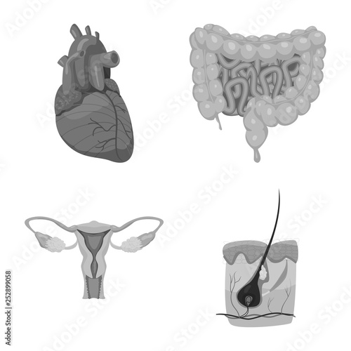Isolated object of body and human logo. Collection of body and medical vector icon for stock.