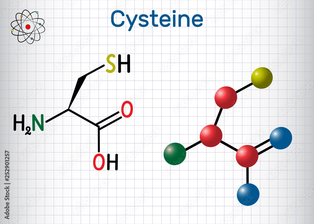 Cysteine (L-cysteine, Cys, C) proteinogenic amino acid molecule. Sheet of paper in a cage. Cysteine (L-cysteine, Cys, C) proteinogenic amino acid molecule. Sheet of paper in a cage.