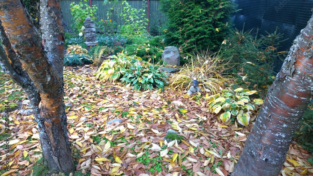 Obraz premium Garden 