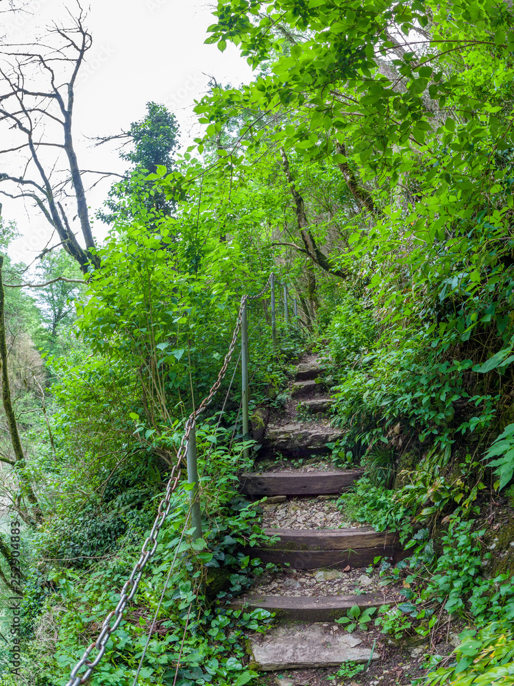 Obraz premium Path with steps carved into a sheer cliff.