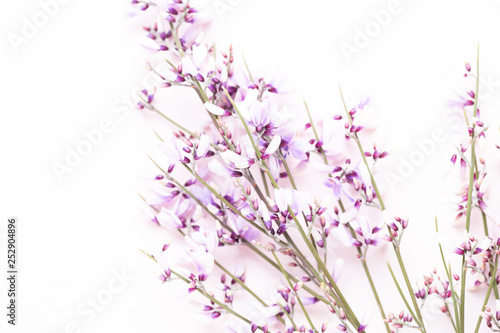 Flowers composition. Pink flowers on pink background. Easter  spring concept. Greeting card.