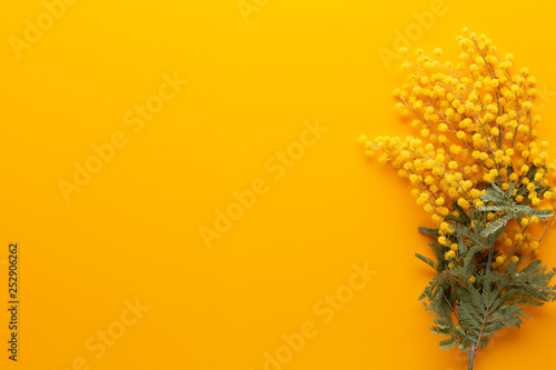 Yellow flower pattern on a yellow background. Spring greeting card.