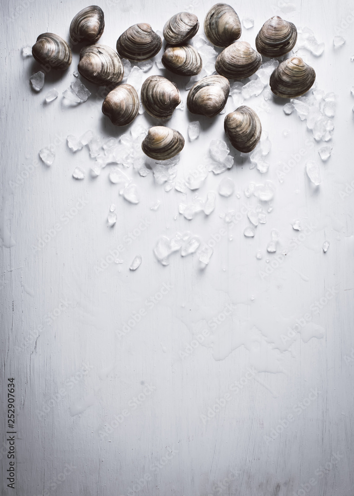 Little Neck Clams Little Neck Clams