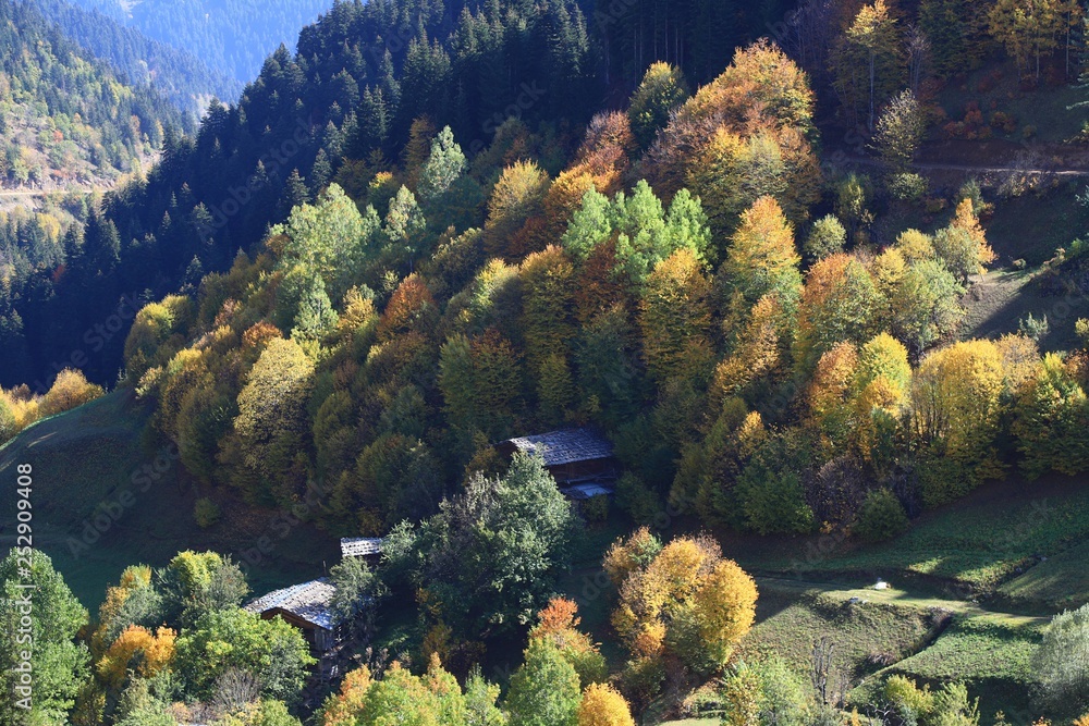 very beautiful autumn photos.savsat/artvin/turkey very beautiful autumn photos.savsat/artvin/turkey