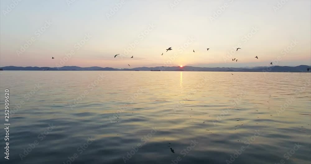 Beautiful panoramic aerial view of sea bay and seagulls and gunnets flying above it. Summer sunset. Russia