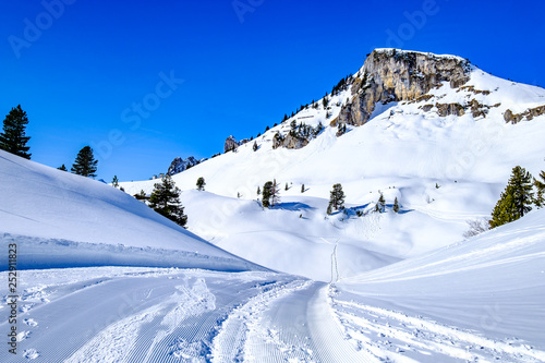 landscape near pertisau - austria © fottoo