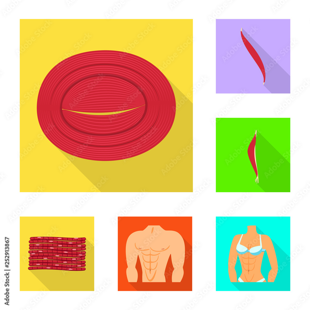 Vector design of muscle and cells sign. Collection of muscle and anatomy stock symbol for web.