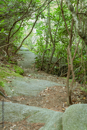 Terraced granite trail Rhode Island