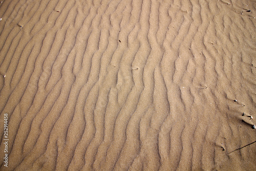 Ripples in the sand