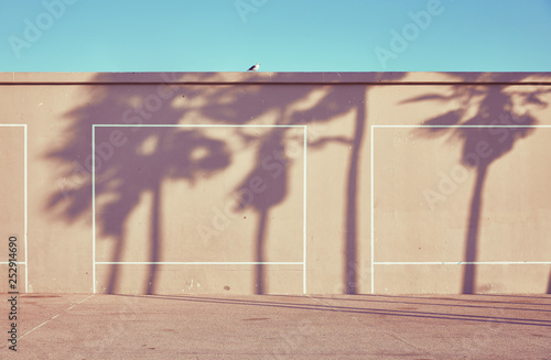 bird on roof