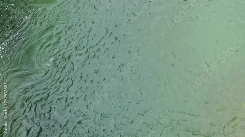Green water flowing top view