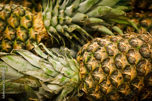 Ananas or pineapples. Exotic fruit harvesting concept.