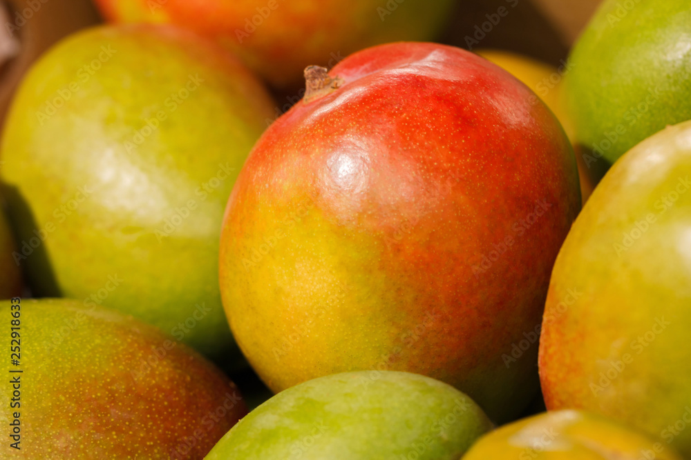 Harvest of juicy mango. Fruit Background