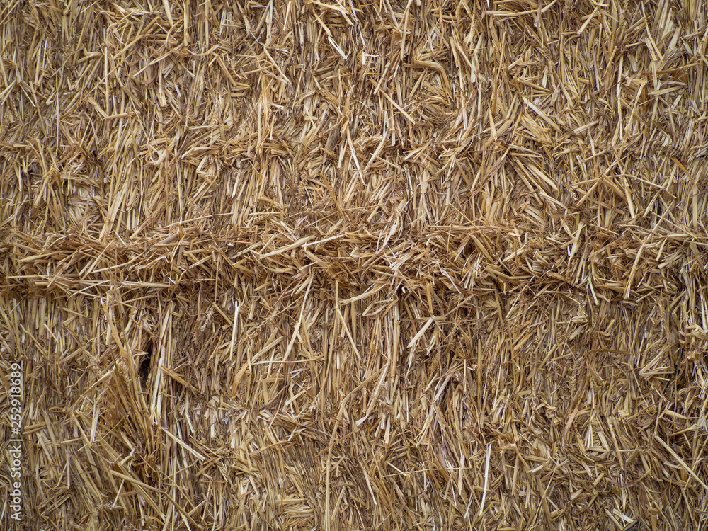 Abstract natural texture background of hay bale Abstract natural texture background of hay bale
