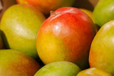 Harvest of juicy mango. Fruit Background