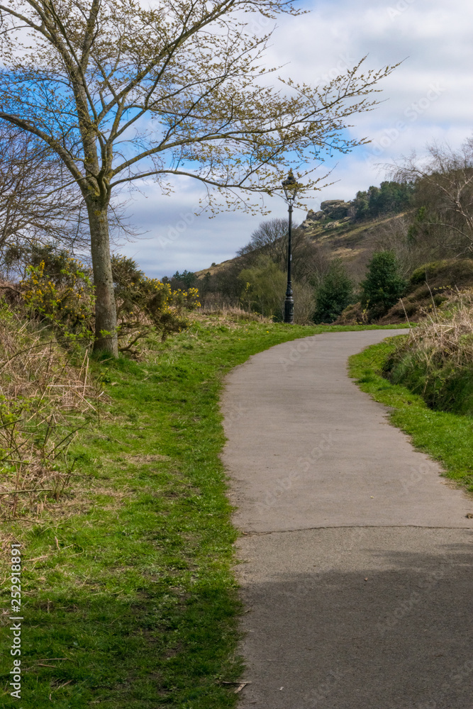 Path in the park