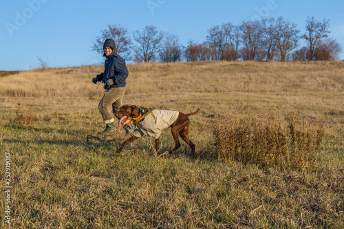 A hunting dog of the deutsch kurzhaar
