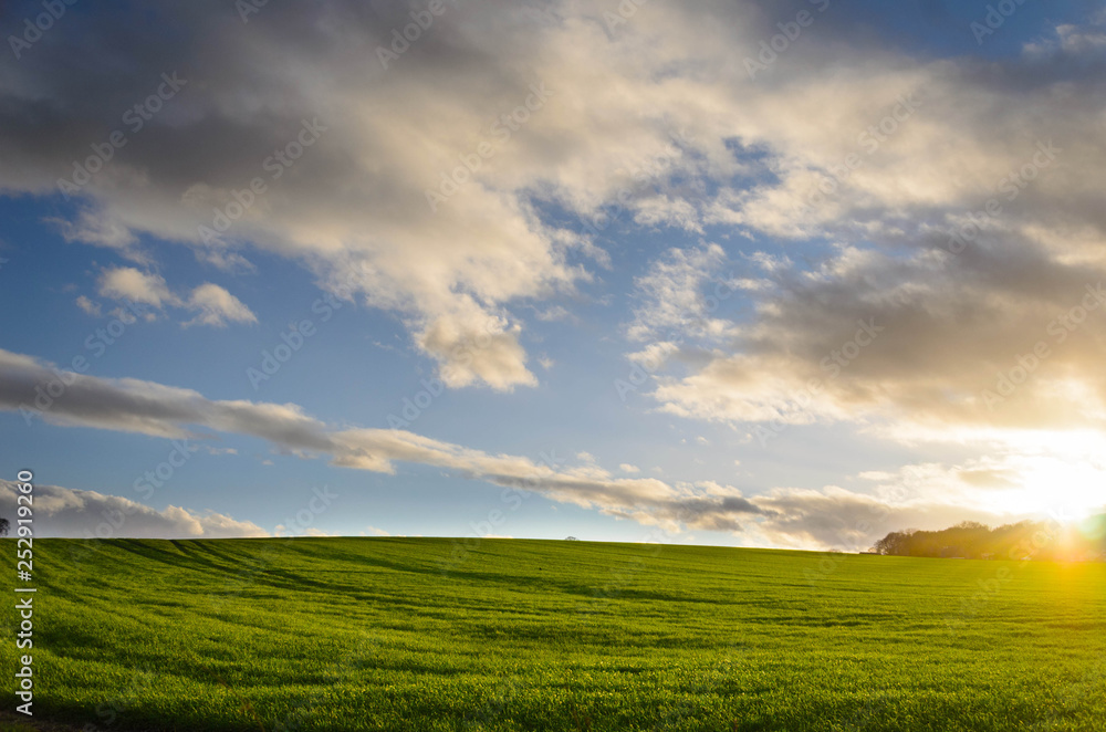 sunset over green field