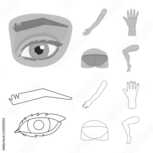 Vector design of body and part symbol. Set of body and anatomy vector icon for stock.