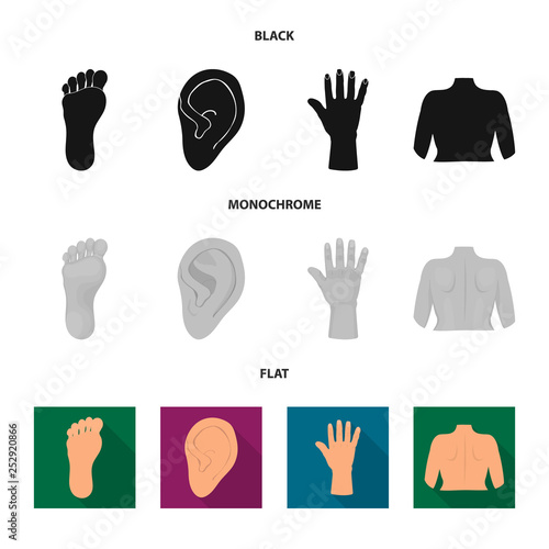 Vector design of body and part sign. Collection of body and anatomy stock symbol for web.